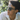 Adult Oval Sunglasses - Olive Green - Bimbo Concept