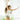 Girls' Wedgie - Free Panty Briefs - Set of 3 - Bimbo Concept
