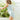 Girls' Wedgie - Free Panty Briefs - Set of 3 - Bimbo Concept
