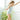 Girls' Wedgie - Free Panty Briefs - Set of 3 - Bimbo Concept