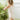 Girls' Wedgie - Free Panty Briefs - Set of 3 - Bimbo Concept