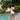 Strut Swimsuit - Brazilian Sand - Bimbo Concept