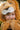 Woodland Storybook Lion Cape - Bimbo Concept