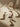 Animal Tufted Rug - Polar Bear - Bimbo Concept