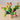 Balancing Cactus - Bimbo Concept