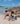 Beach Toy Set - Peguin - Bimbo Concept