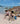 Beach Toy Set - Walrus - Bimbo Concept