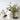 Dog Conditioner - Paperbark & Lemongrass 500mli - Bimbo Concept