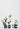 Flower Holder - BLACK - Bimbo Concept