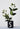 Flower Holder - BLACK - Bimbo Concept