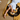 Lion Rug - Bimbo Concept