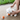 Pet Care Set - Bimbo Concept