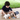 Pet Care Set - Bimbo Concept