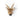 Trophy Roe - Deer Toby - Bimbo Concept
