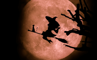 A Guide to Halloween: History, Facts, and Family Fun - Bimbo Concept
