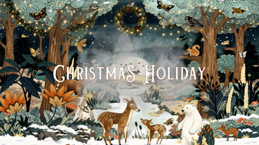 Christmas 2024 🎄 - Bimbo Concept