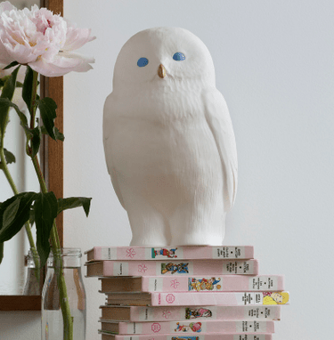 Gift for Home - Bimbo Concept