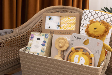 Newborn Hamper - Bimbo Concept
