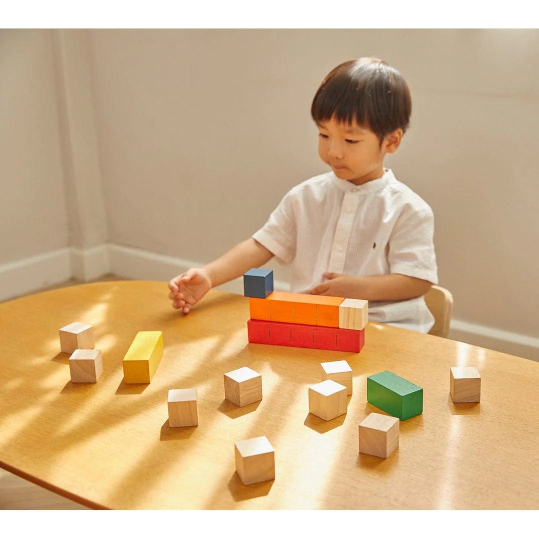 Colored Counting Blocks - Unit Plus