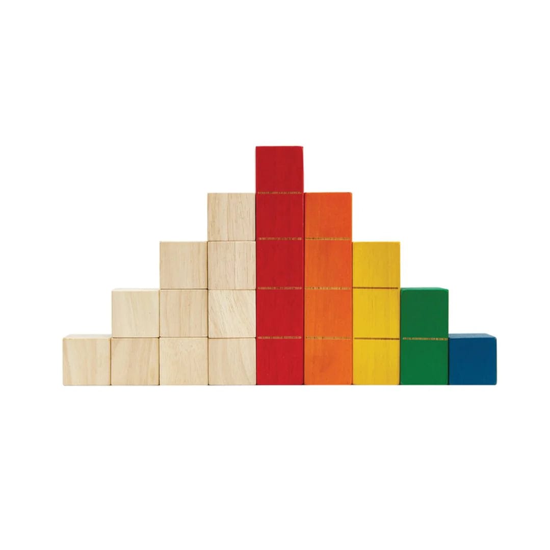 Colored Counting Blocks - Unit Plus