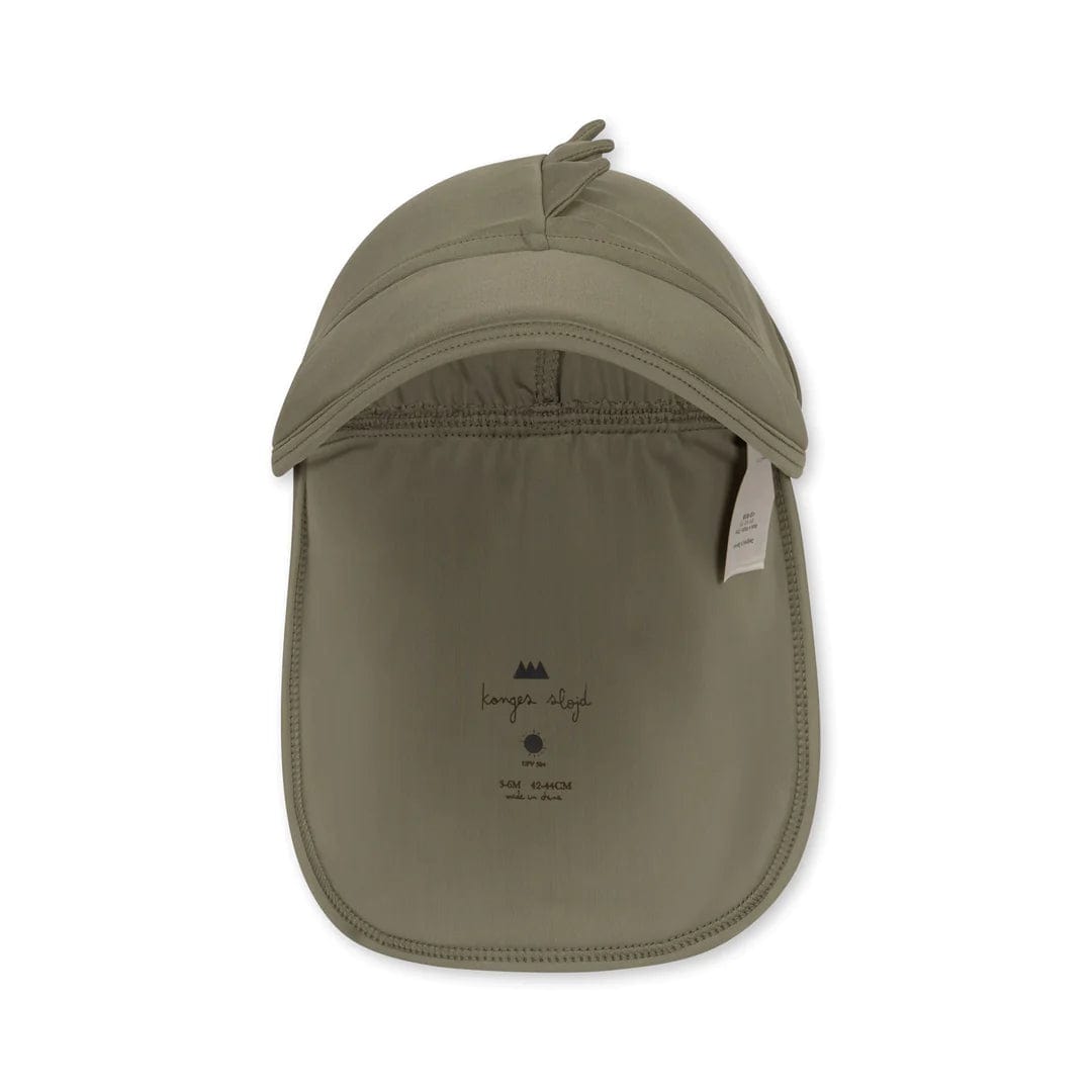 Aster Sunhat Dino