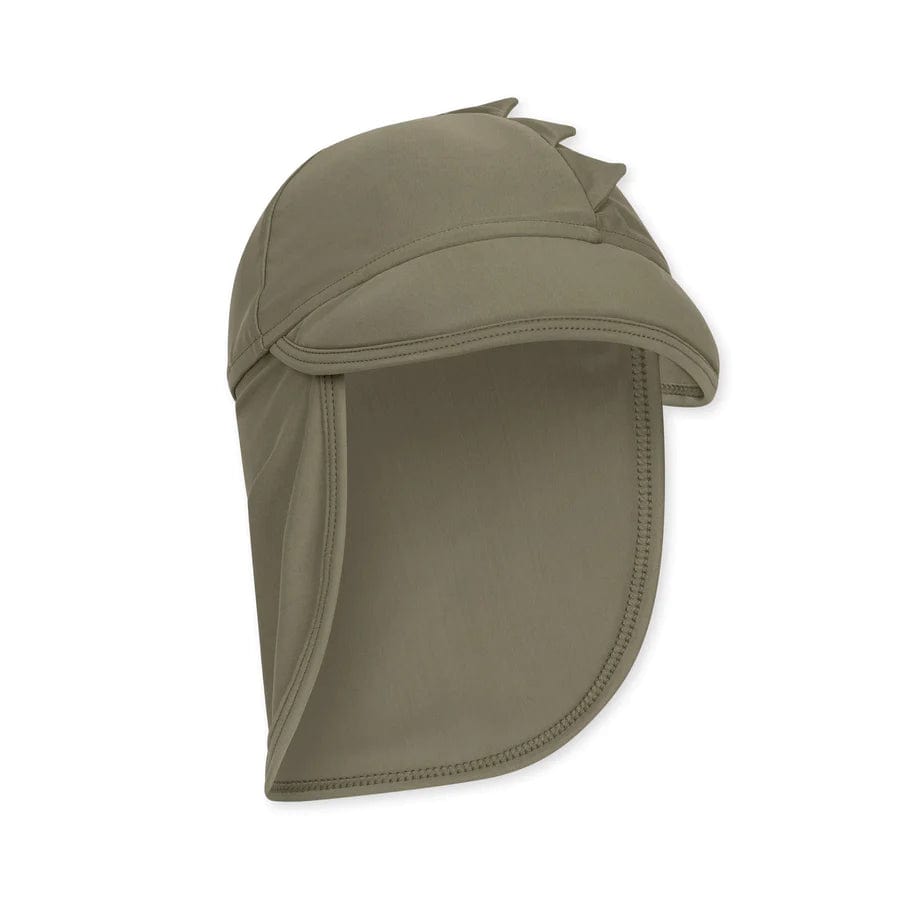 Aster Sunhat Dino