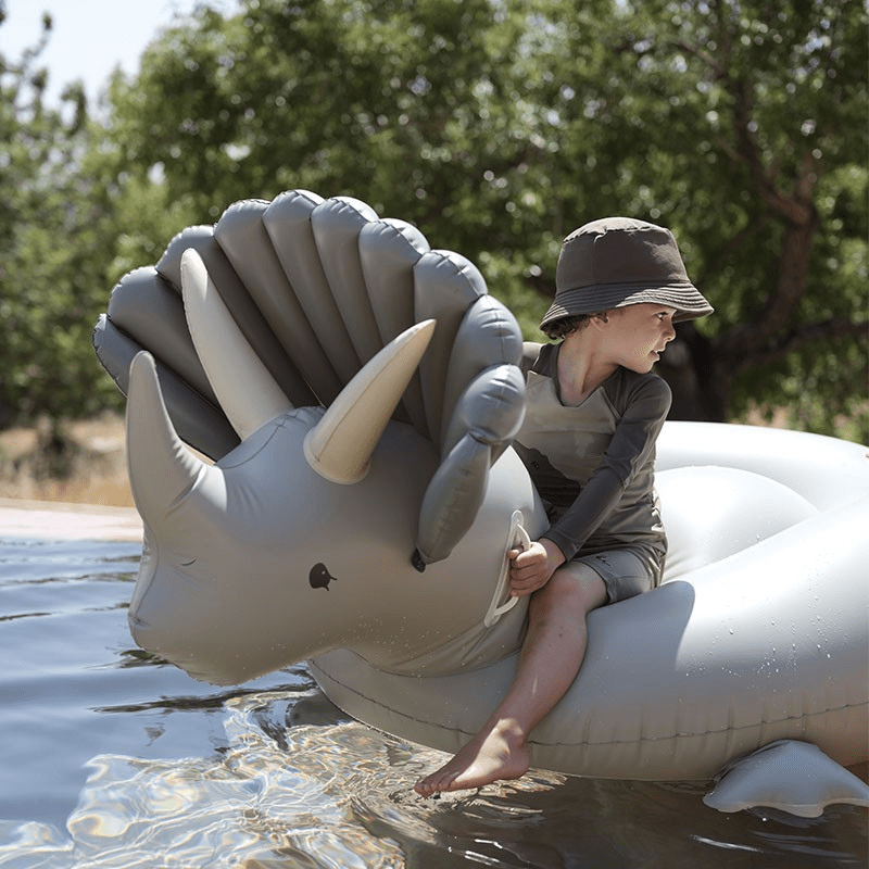 Dino Float