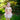 Ballet Tutu Dress - Bimbo Concept