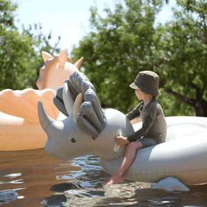 Dino Float - Bimbo Concept