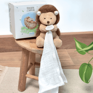 Doudou Pacifier Toy Hedgehog - 12 cm - Bimbo Concept
