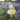 Glitter Bumblebee Set - Bimbo Concept