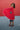 Gold and Red Reversible Wonder Cape - Bimbo Concept