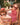 Junior Oval Sunglasses - Raspberry - Bimbo Concept
