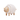 Lacing Sheep - Bimbo Concept