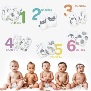Parasol Clear+Dry® Natural Diapers - Bimbo Concept