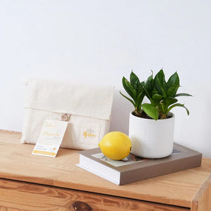 The Little Organic Pillow Protector - Bimbo Concept