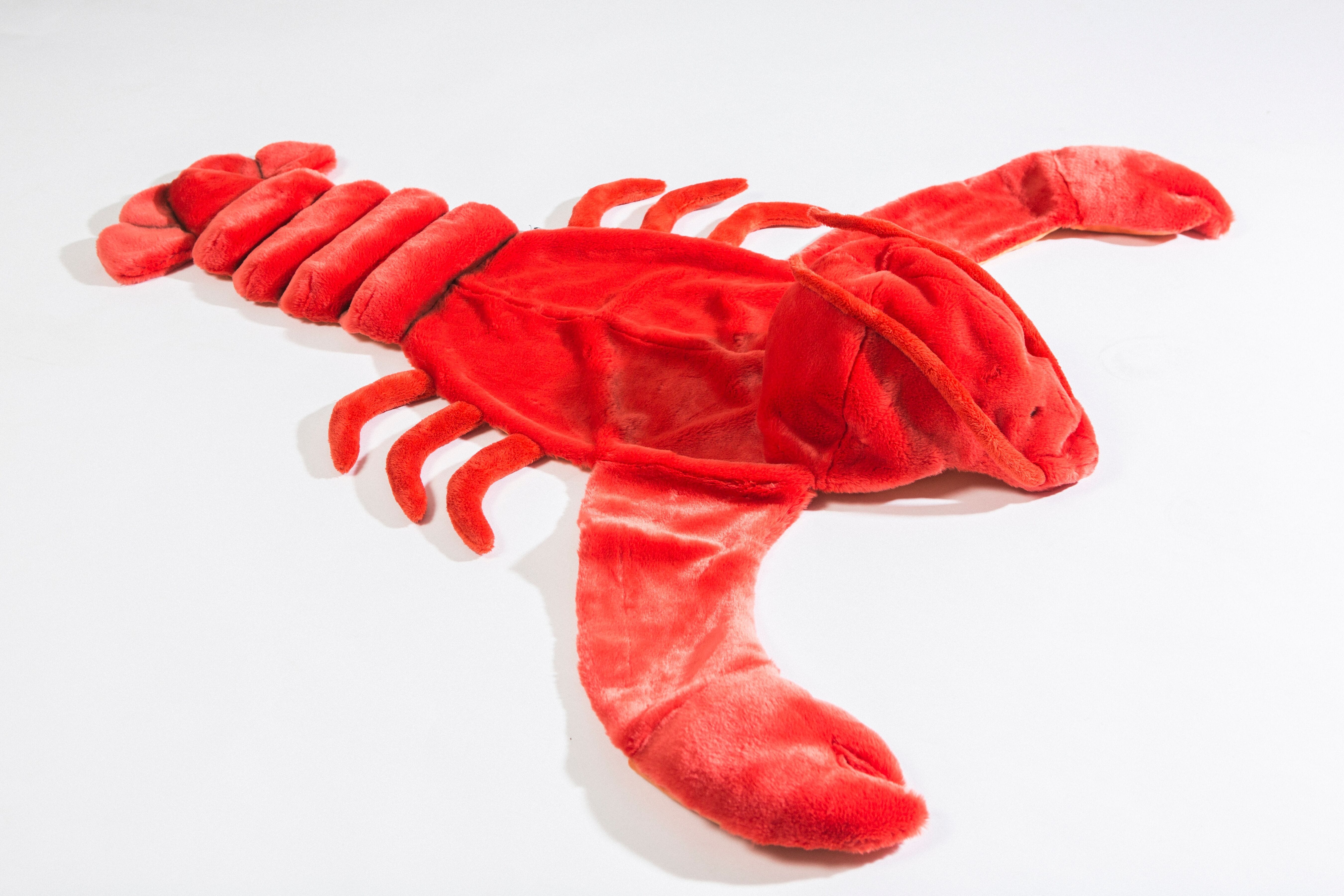 Lobster Costume