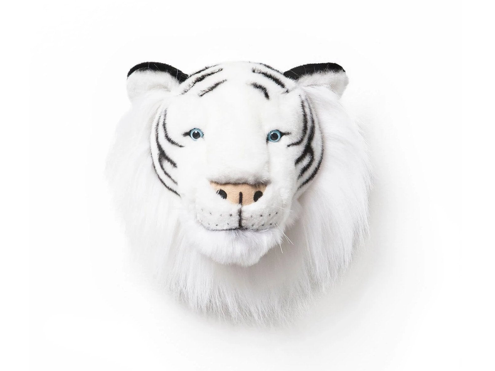 Trophy White Tiger Albert