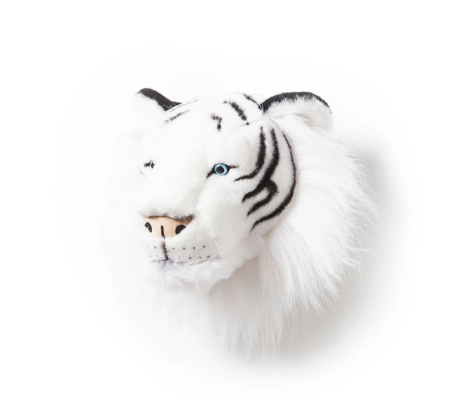 Trophy White Tiger Albert