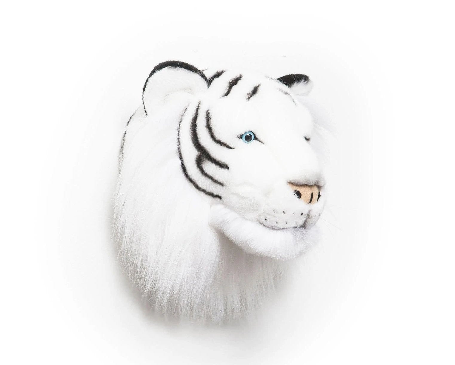 Trophy White Tiger Albert