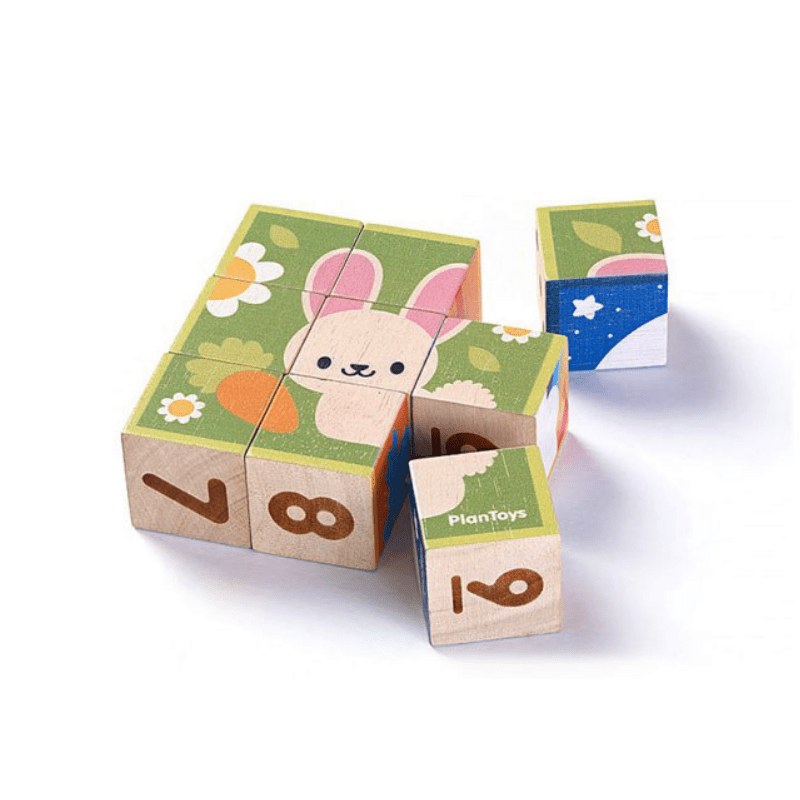 Puzzle Cube