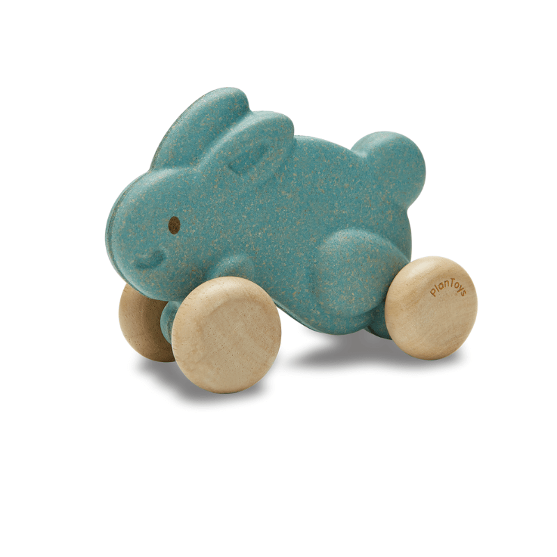 Push Along Bunny (Blue)