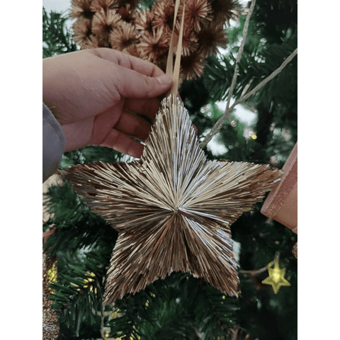 Christmas Deco - Hanging Star