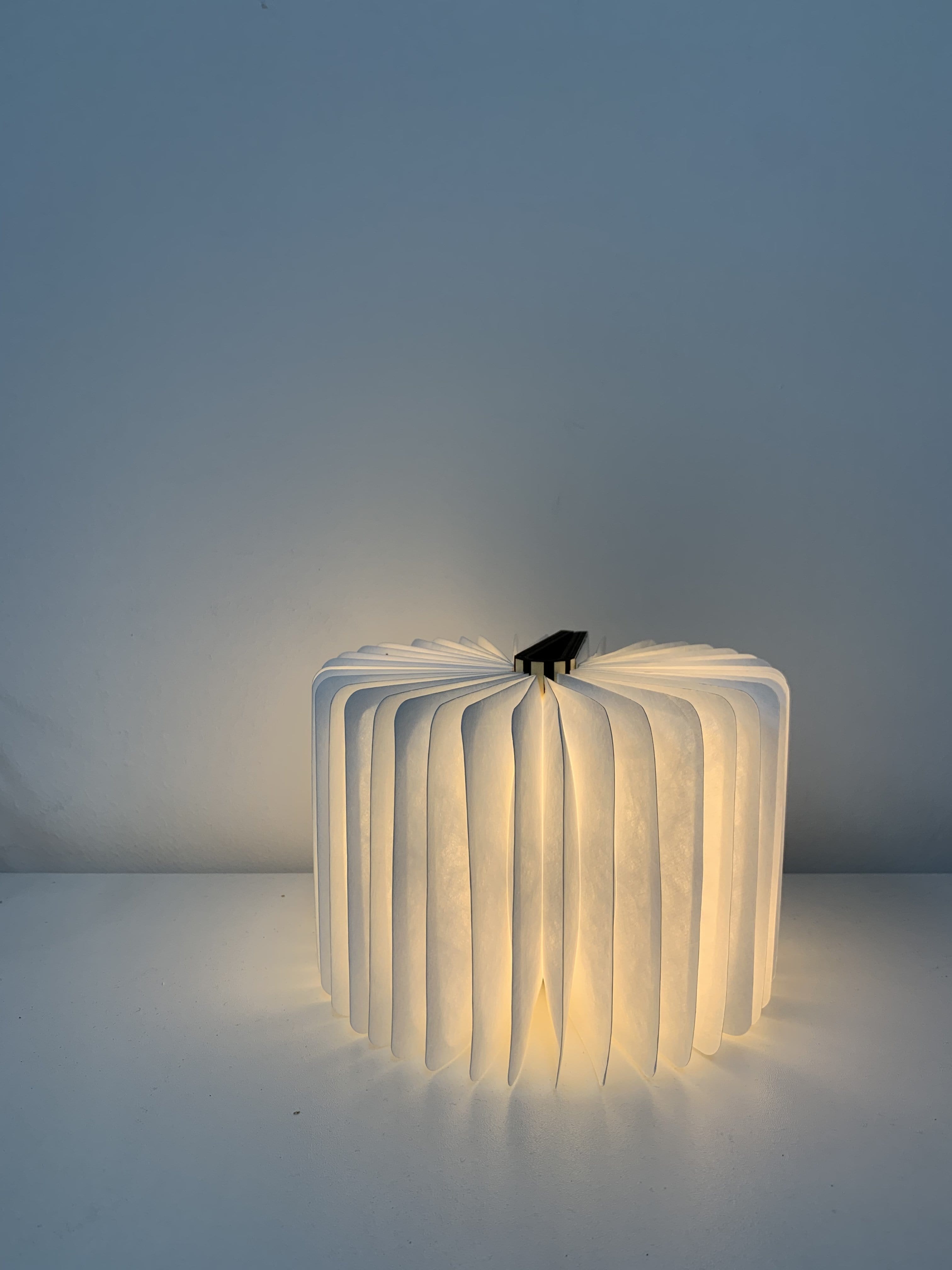 Book Light