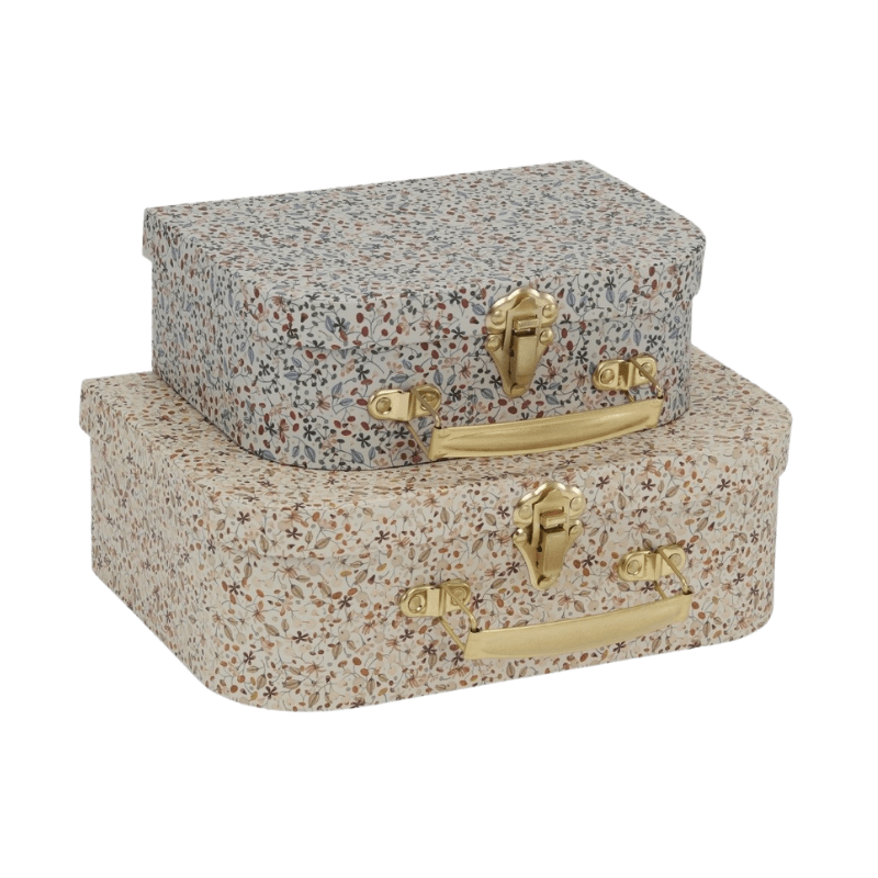 2 Pack Luggage