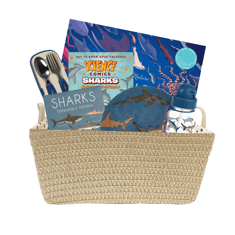 Quarantine Hamper - Ocean