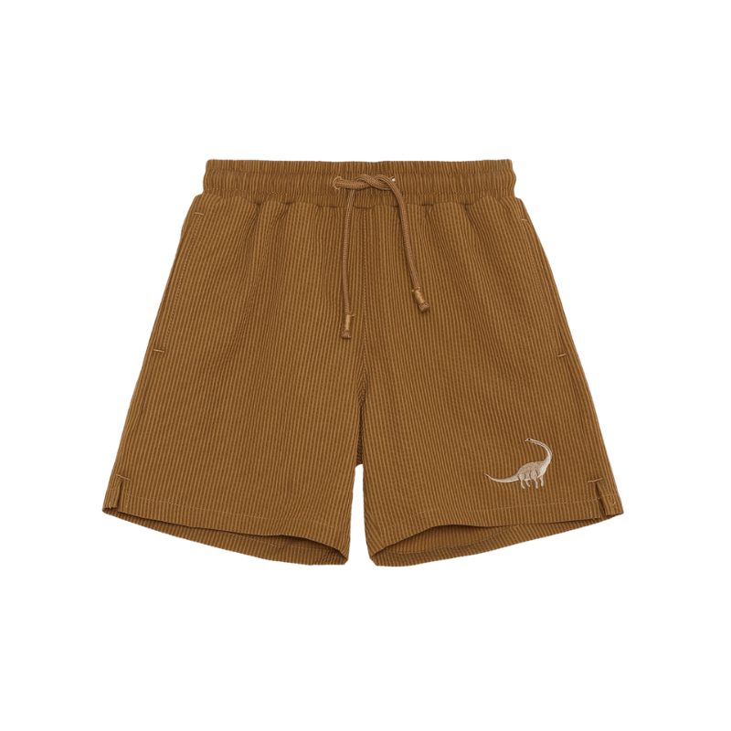 Seer Boardshorts