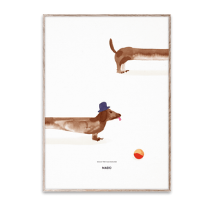 Doug the Dachshund - 50cm x 70cm