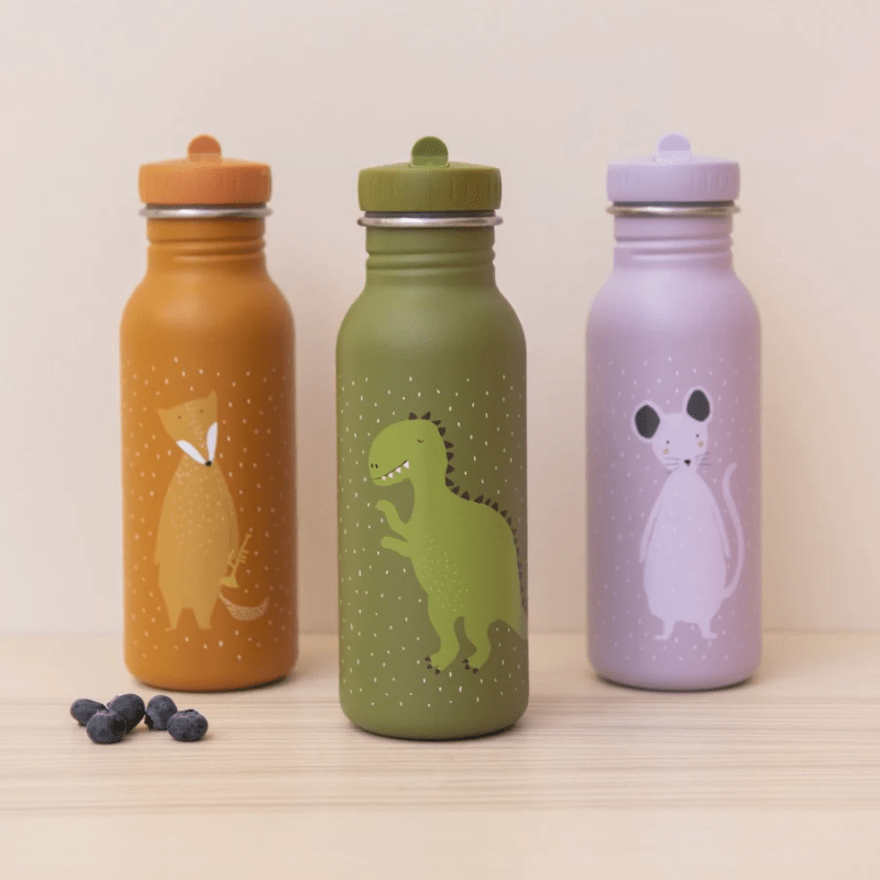 Water Bottle Mr. Dino 500ml