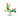 Balancing Cactus - Bimbo Concept